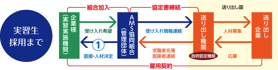 実習生採用まで